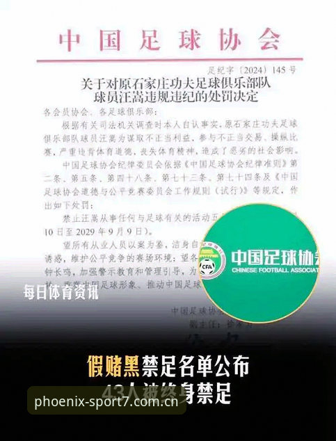 中国足协第三批禁足名单全面解析：行业生态净化与深层治理逻辑