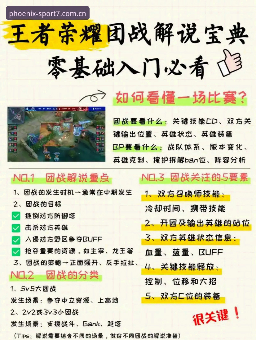 资深用户深度剖析：凤凰体育体验版功能实战使用心得